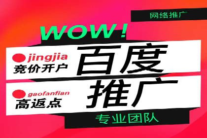 成功案例：百度推广返点的实际效果